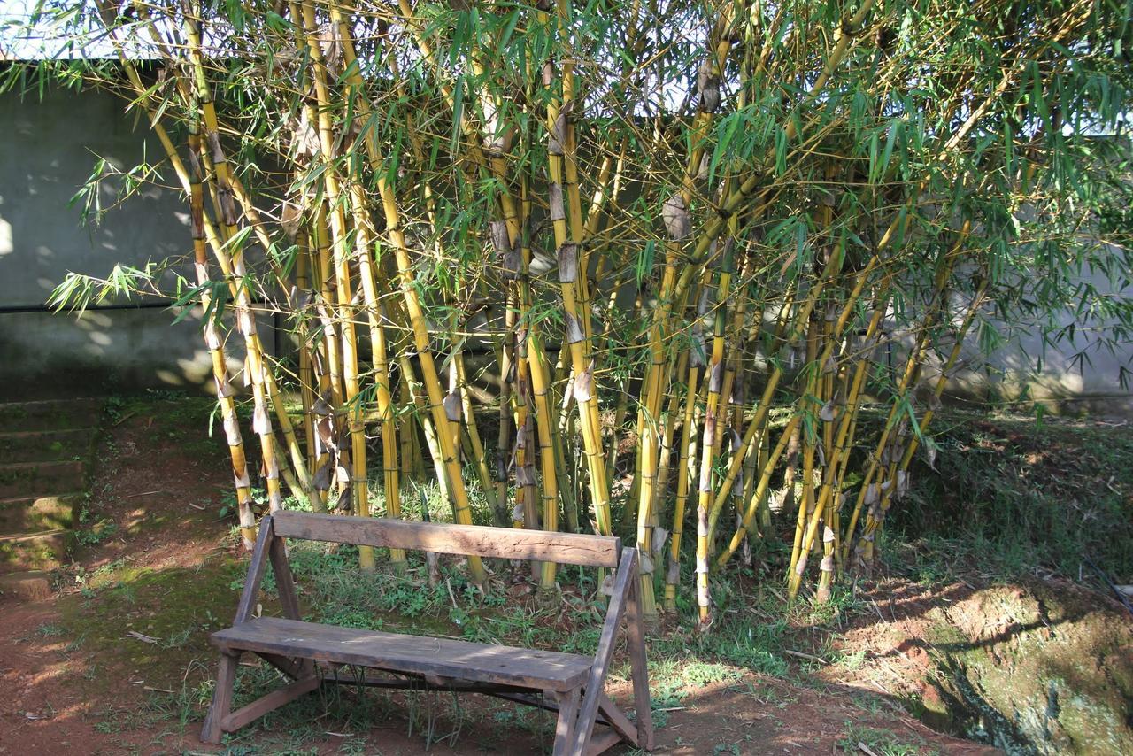Banda Lodge Masaka Esterno foto